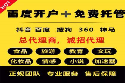 竞价推广实战：案例分析行业领军企业的成功之道